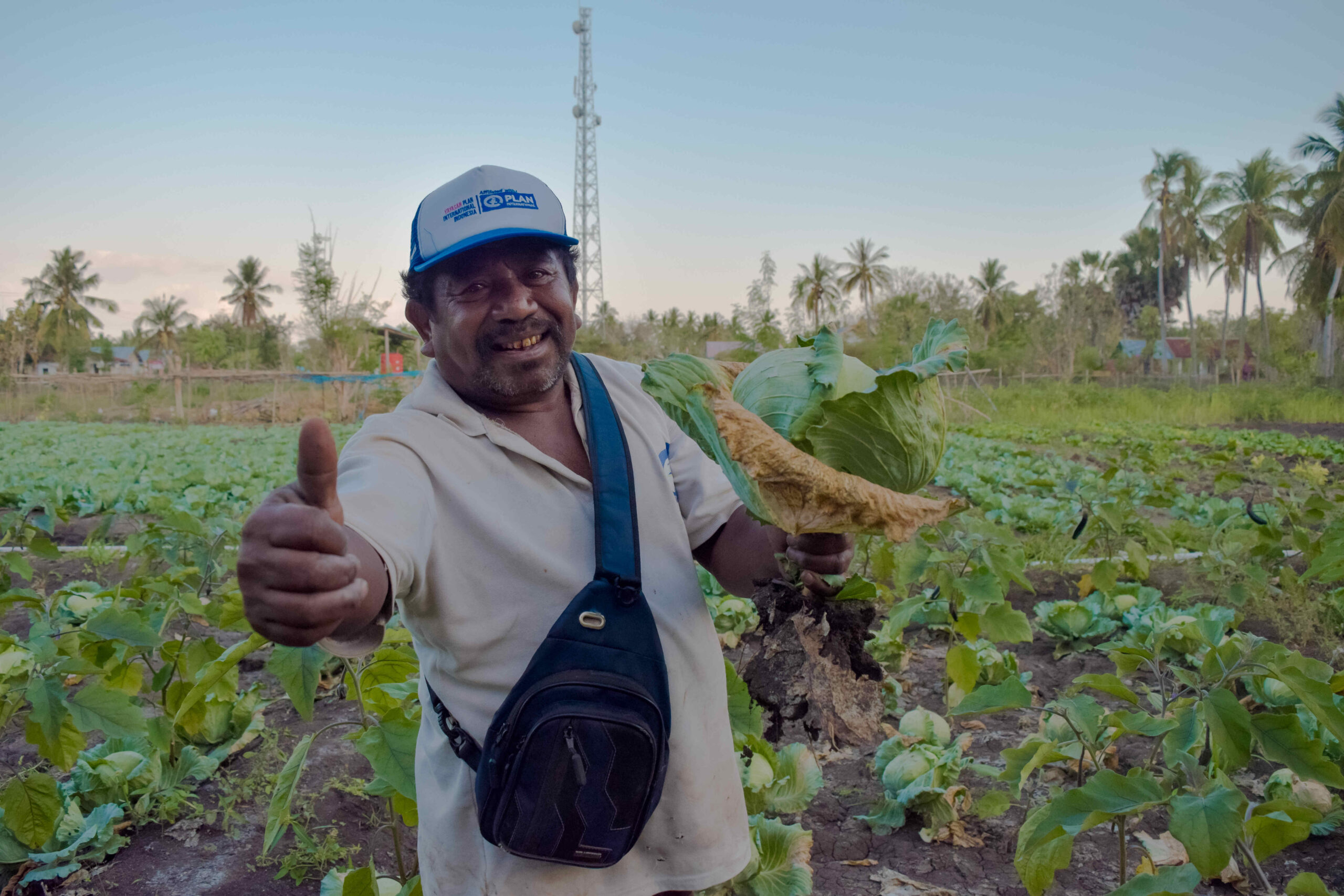 Hasan di tengah sawah di Lembata NTT