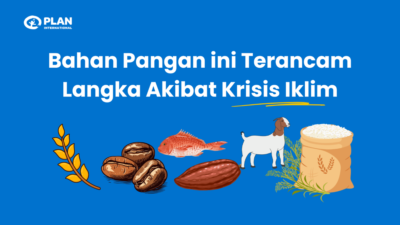 pangan plan indonesia